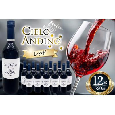ふるさと納税 韮崎市 ワイン 赤 シエロアンディーノ・レッド 720ml 12本セット