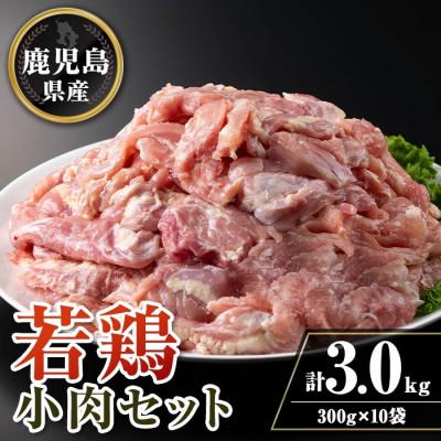 ふるさと納税 伊佐市 鹿児島県産若鶏小肉(せせり)セット(計3kg・300g×10P) isa725(伊佐市)