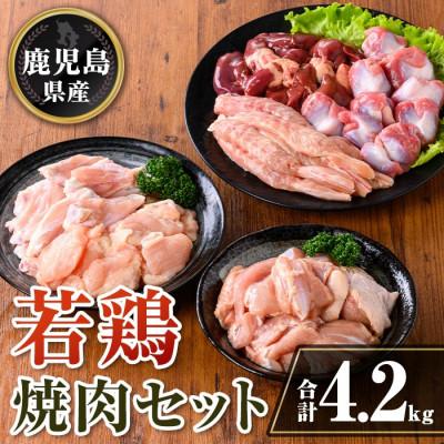 ふるさと納税 伊佐市 鹿児島県産 若鶏焼肉セット (合計4.2kg) isa726(伊佐市)
