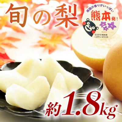 ふるさと納税 球磨村 熊本県 球磨村産 旬の梨 (豊水・秋月・新高) 品種おまかせ 5〜8玉 約1.8kg(球磨村)