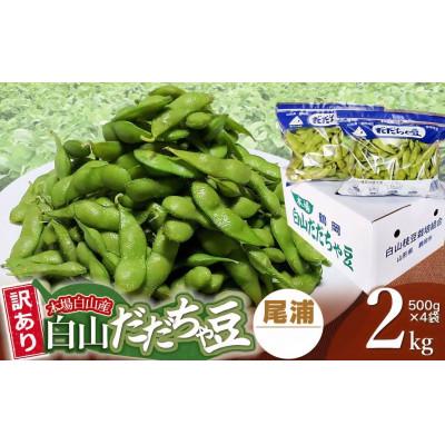 ふるさと納税 鶴岡市 [令和8年先行受付]訳あり 本場白山産 白山だだちゃ豆[尾浦]2kg (500g×4袋)