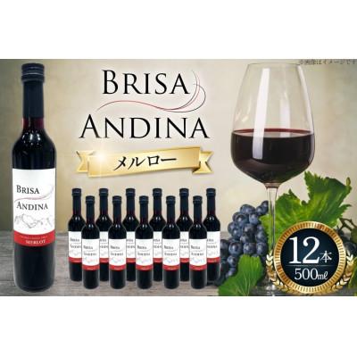 ふるさと納税 韮崎市 ワイン 赤 ブリサ・アンディーナ メルロー 500ml 12本セット
