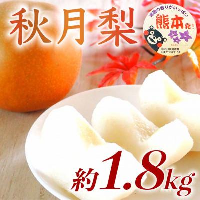 ふるさと納税 球磨村 秋月梨 5〜8玉 約1.8kg(球磨村)