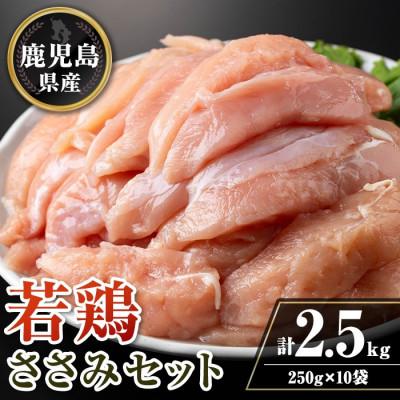 ふるさと納税 伊佐市 鹿児島県産若鶏ささみセット(計2.5kg・250g×10P) isa714(伊佐市)