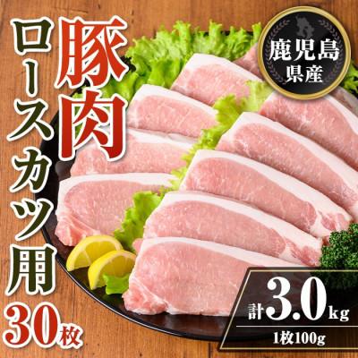 ふるさと納税 伊佐市 鹿児島県産 豚肉ロースカツ用30枚セット(計3kg) isa708(伊佐市)