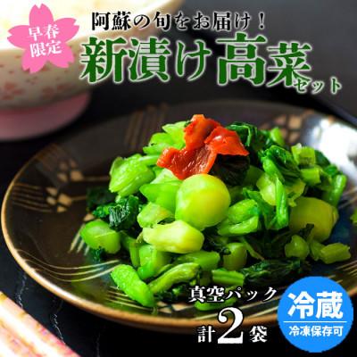 ふるさと納税 阿蘇市 春を彩る 阿蘇の新漬け高菜 約200g×2パック