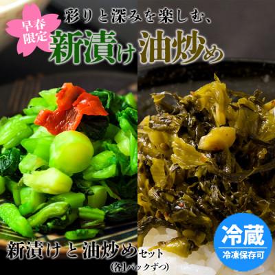 ふるさと納税 阿蘇市 彩りと深みを楽しむ、高菜の新漬けと古漬け油炒め2種食べ比べセット