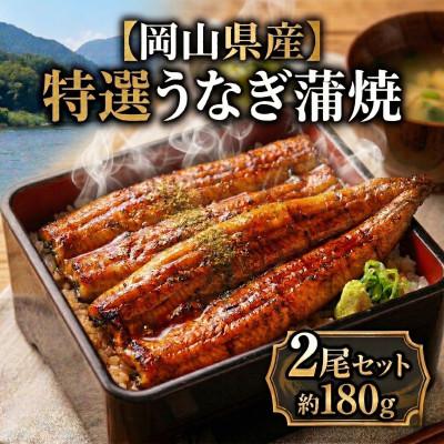 ふるさと納税 岡山市 岡山県産うなぎ180g前後 2尾セット