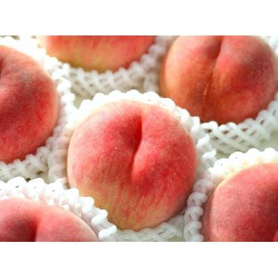 ふるさと納税 紀の川市 あら川の桃 秀品 約2kg (8品種の中からその時期旬の桃をお届け)の画像