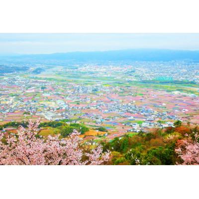ふるさと納税 紀の川市 あら川の桃 秀品 約2kg (8品種の中からその時期旬の桃をお届け)の画像