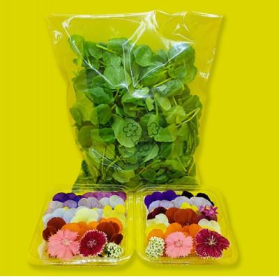 ふるさと納税 播磨町 食用のエディブルフラワー(生花)×2パック・サラダクレソン×1袋[Aセット]