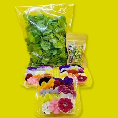 ふるさと納税 播磨町 食用のエディブルフラワー(生花×3パック・ドライ×1袋)・サラダクレソン×1袋[Cセット]