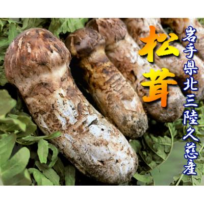 ふるさと納税 久慈市 久慈産天然松茸「訳あり規格外品」300g