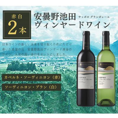 ふるさと納税 池田町 サッポログランポレール 安曇野池田ヴィンヤードワイン赤白2種セット(750ml×各1本)