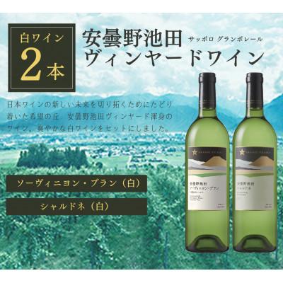 ふるさと納税 池田町 サッポログランポレール 安曇野池田ヴィンヤードワイン白2種セット(750ml×各1本)
