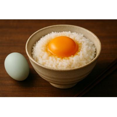 ふるさと納税 枚方市 意味有りげな人に贈る乳くさい卵「恩卵」10個|平飼い気取らない養鶏・木九鼎大呂|大阪府枚方市|ふじよだ養鶏