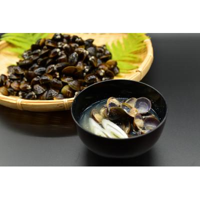 ふるさと納税 網走市 かにやで人気の網走湖の大粒しじみ&amp;はまなす味噌 計4kgセット