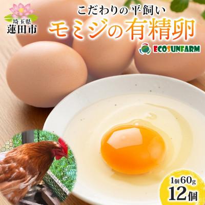 ふるさと納税 蓮田市 こだわり 平飼いモミジの有精卵 12個 産地直送 エコサンファーム