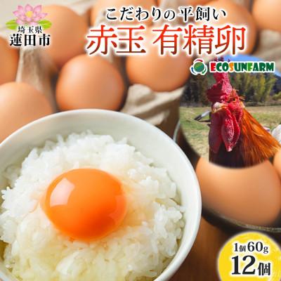 ふるさと納税 蓮田市 エコサンファーム 平飼い赤玉有精卵 12個