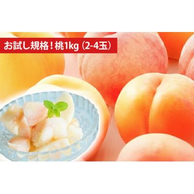 ふるさと納税 中央市 [お試し規格]山梨県産の桃約1kg(2〜4玉)品種おまかせ