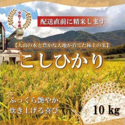 ふるさと納税 北栄町 令和7年産 山崎農園こしひかり精米 10kg