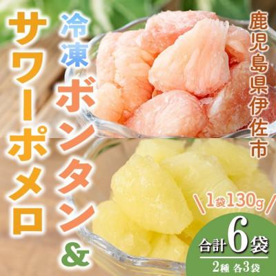 ふるさと納税 伊佐市 冷凍ボンタン3袋と冷凍サワーポメロ3袋食べ比べセット(合計6袋・各130g)