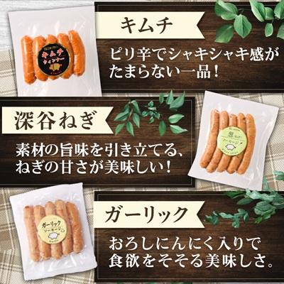 ふるさと納税 伊勢崎市 ウインナー充実セット(7種類70本 計1.67kg) |  | 02