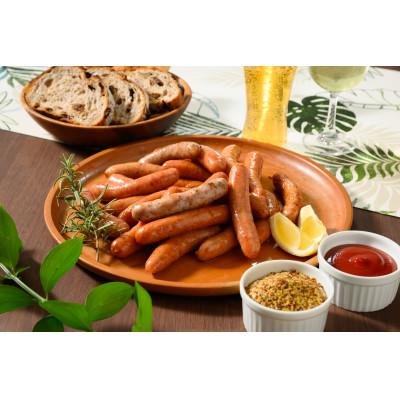 ふるさと納税 伊勢崎市 豪華9種 ウインナー・ハム・チャーシュー詰め込みセット1.8kg