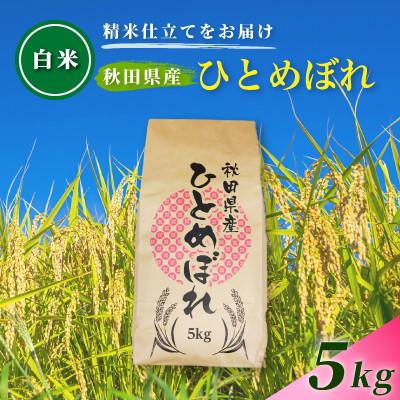 ふるさと納税 由利本荘市 令和7年産 [白米]通算5回特A 秋田県産ひとめぼれ 5kg(5kg×1袋) 配送 1回のみお届け