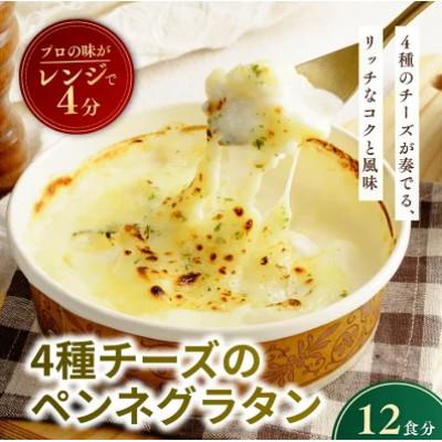 ふるさと納税 龍ケ崎市 4種チーズの冷凍ペンネグラタン 200g×12個