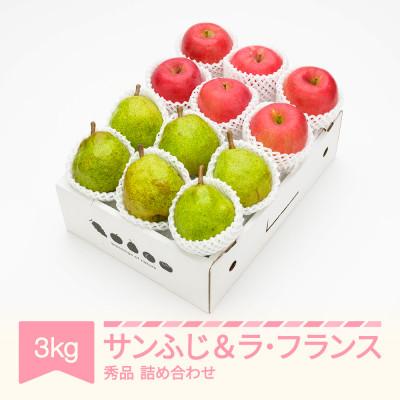 ふるさと納税 村山市 [先行予約]サンふじ&amp;ラ・フランス 3kg 秀品 2026年産