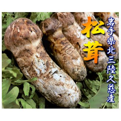 ふるさと納税 久慈市 久慈産天然松茸「サイズ、つぼみ、開きおまかせ」200g