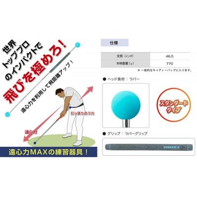 ふるさと納税 姫路市 リンクスゴルフ　ダワ筋スティック　スタンダードタイプ【オールブラック】[53651357]_1