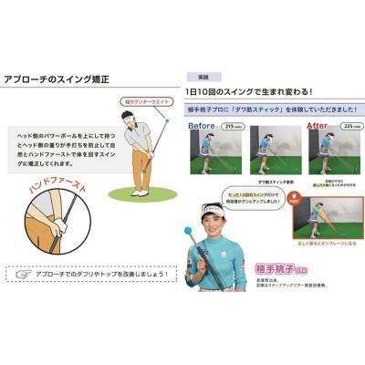 ふるさと納税 姫路市 リンクスゴルフ　ダワ筋スティック　スタンダードタイプ【オールブラック】[53651357]_2