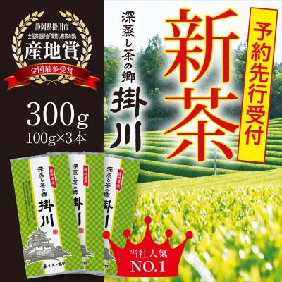 ふるさと納税 掛川市 <2026年新茶・先行受付>掛川茶「深蒸し茶の郷 掛川」100g×3本セット 5月上旬発送予定