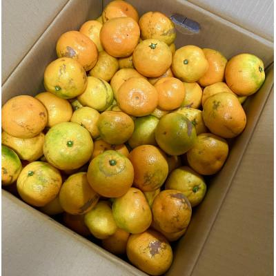 ふるさと納税 日高川町 [訳あり]由良早生みかん(サイズ混合)10キロ