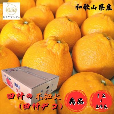 ふるさと納税 湯浅町 ≪先行受付 2027年 2月下旬〜順次発送≫和歌山有田 田村の不知火(田村デコ) 秀品 12〜24玉