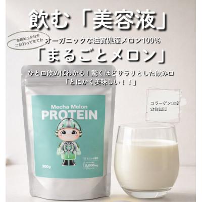 ふるさと納税 長浜市 Mecha Melon プロテイン(メカメロンプロテイン)