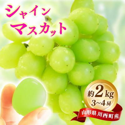 ふるさと納税 川西町 [先行予約]令和8年産 シャインマスカット 約2kg(3房〜4房)