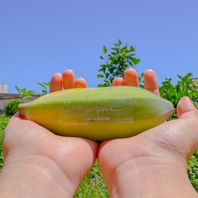 ふるさと納税 糸満市 沖縄でオジーが育てた こだわり アップルバナナ 1.5kg