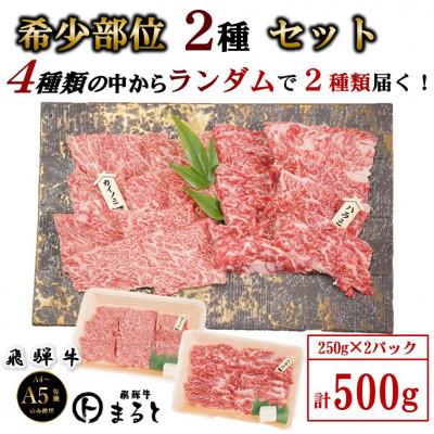 ふるさと納税 養老町 [飛騨牛]お勧め希少部位2種セット 250g×2