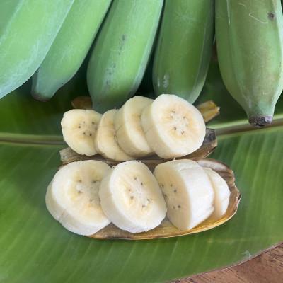 ふるさと納税 糸満市 沖縄でオジーが育てたこだわり アップルバナナ と オクラ セット