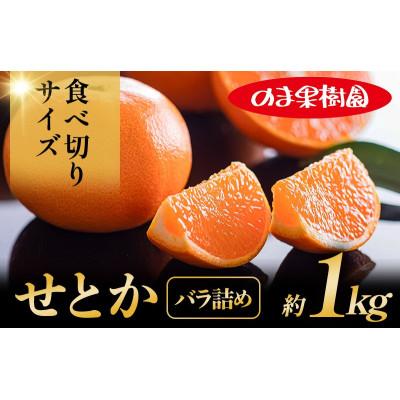 ふるさと納税 今治市 のま果樹園のせとか(1kg)[K003710K1]