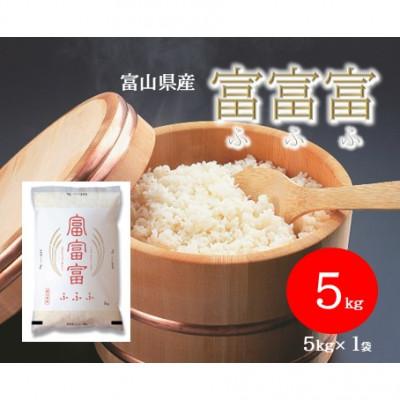 ふるさと納税 氷見市 令和7年産 富山県産 富富富 精米 5kg ブランド米
