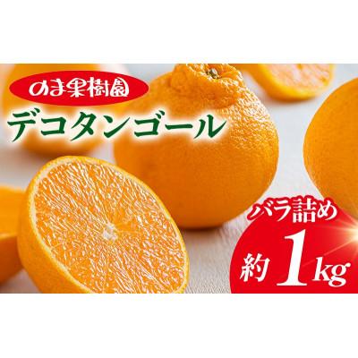 ふるさと納税 今治市 のま果樹園のデコタンゴール(1kg)[K003680K1]