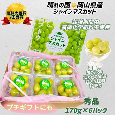 ふるさと納税 岡山市 ぶどう 2026年 シャインマスカット 小分け 秀品 粒だけ 約170g 6パック 7月から発送
