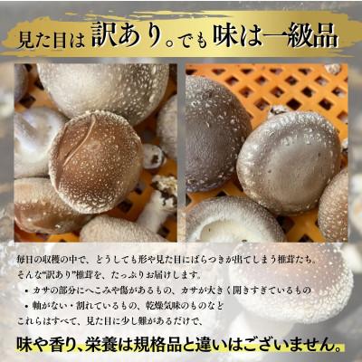 ふるさと納税 富士見町 訳あり生椎茸　1kg　長野県産_1