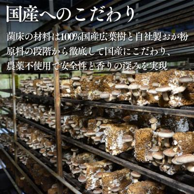 ふるさと納税 富士見町 訳あり生椎茸　1kg　長野県産_2