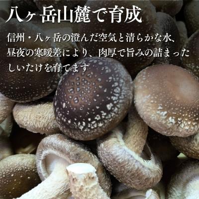 ふるさと納税 富士見町 訳あり生椎茸　1kg　長野県産_3