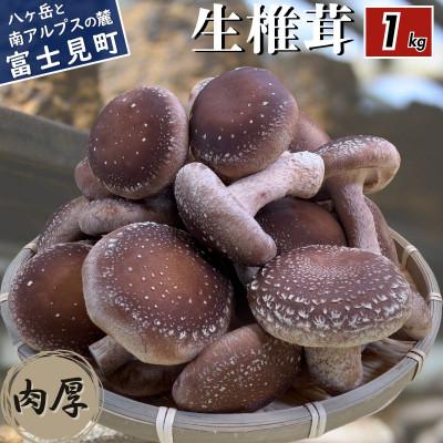 ふるさと納税 富士見町 生しいたけ 1kg 長野県産